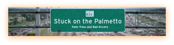 Stuck on The Palmetto