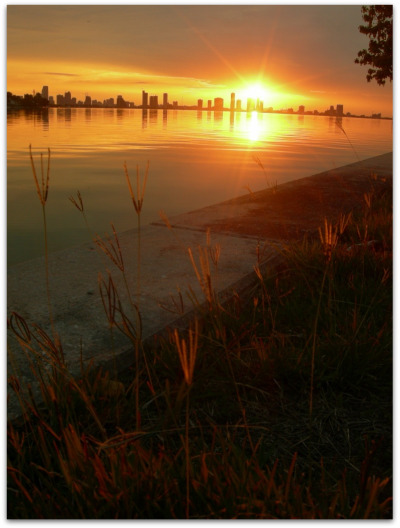 mylittlephotoalbum flickr