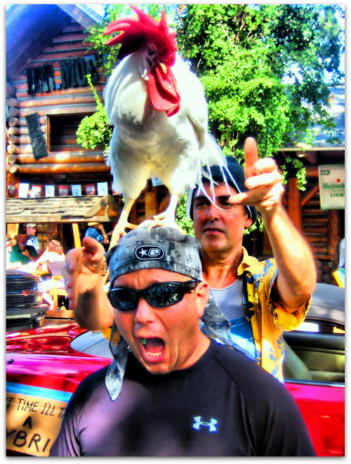 joe and mr clucky by Dkeros on flickr